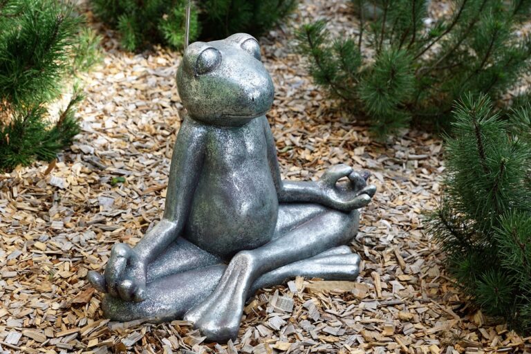 meditation for stress management